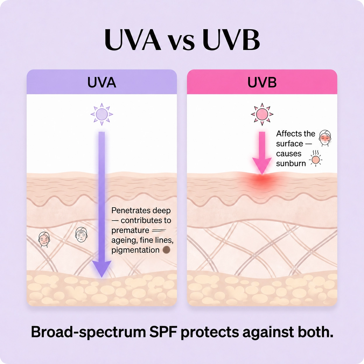 Diagram comparing UVA and UVB rays on skin with text about broad-spectrum SPF.